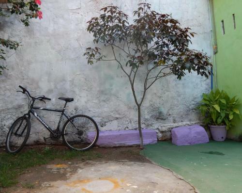 Casa 37 - Guesthouse