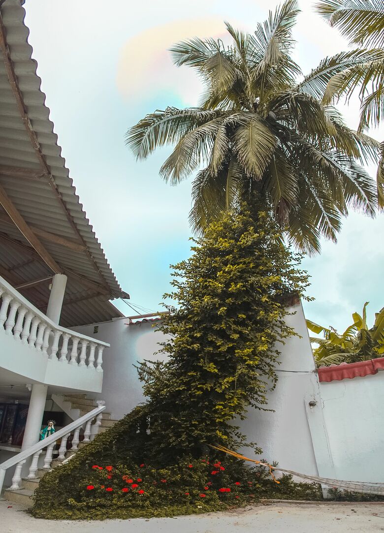 Hotel Boquilla Suites