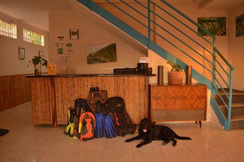 Mi Hostal Taganga