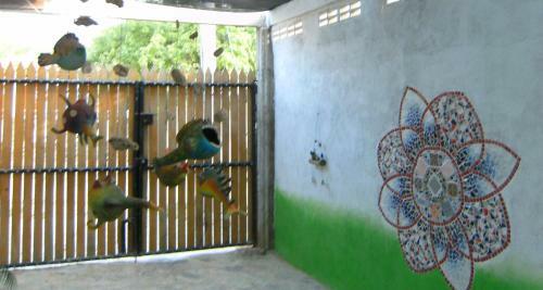Casa Mandala Taganga