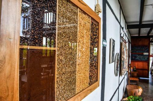 Hostal Coffee Tree Boutique Hostel