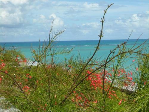 Apartamento Praia De Pajucara