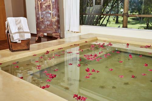 Hotel Beija Flor Resort & Spa
