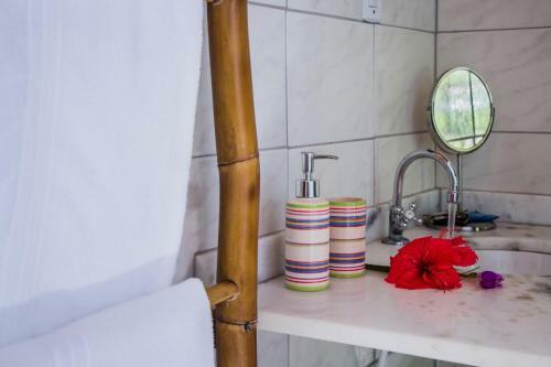 Planeta Banana B&B