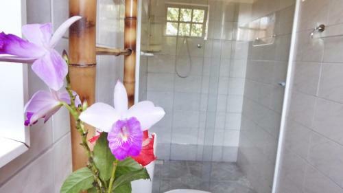 Planeta Banana B&B