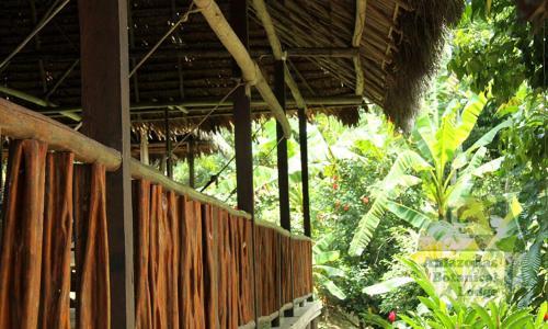 Lodge Cumaceba Botanical Garden