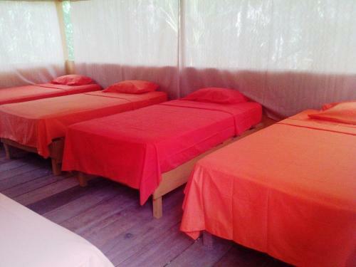 Albergue Amazon Eco Tours & Lodge