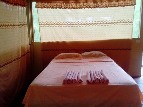 Albergue Amazon Eco Tours & Lodge
