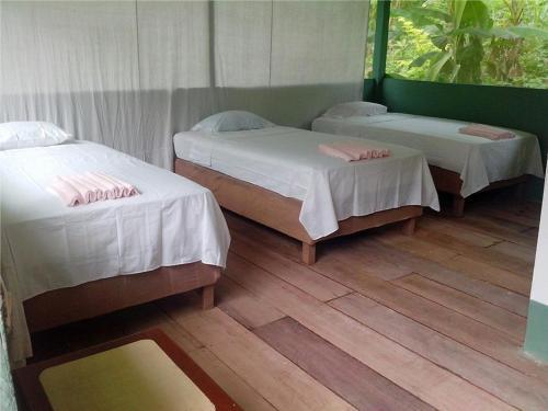 Albergue Amazon Eco Tours & Lodge