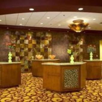 Hotel Embassy Suites Dallas Frisco Convention Center