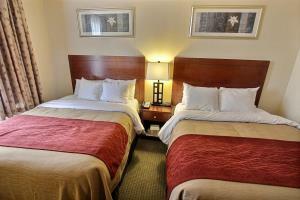 Hotel Comfort Inn New York Staten Island