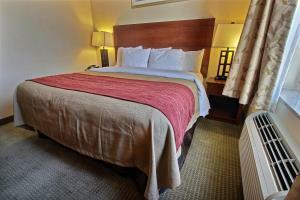 Hotel Comfort Inn New York Staten Island