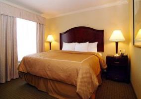 Hotel Comfort Suites