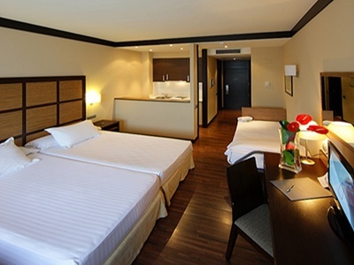 Aparthotel Vall�s