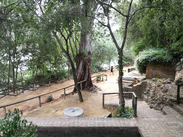 Hotel Oromana