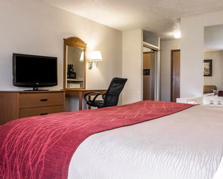 Hotel Comfort Inn Airport