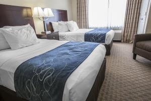 Hotel Comfort Suites