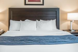 Hotel Comfort Suites