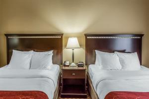 Hotel Comfort Suites