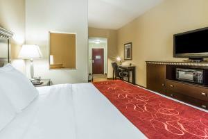 Hotel Comfort Suites