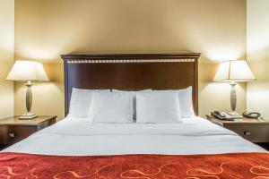 Hotel Comfort Suites