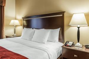 Hotel Comfort Suites