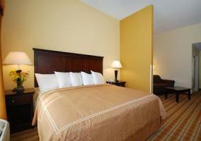 Hotel Comfort Suites