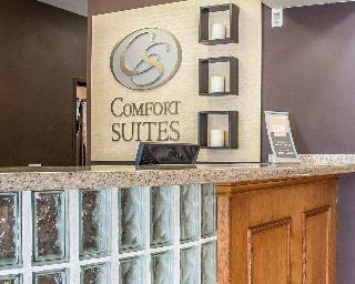 Hotel Comfort Suites At Metro Center