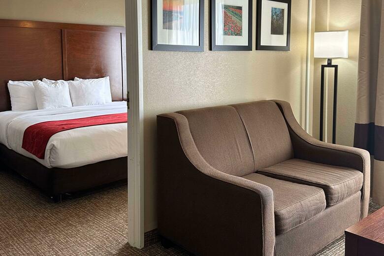 Hotel Comfort Suites Airport