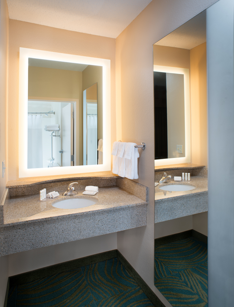 Hotel Springhill Suites By Marriott Annapolis
