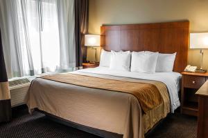 Hotel Comfort Inn & Suites