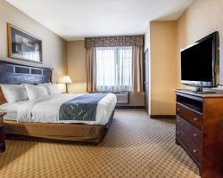 Hotel Comfort Suites
