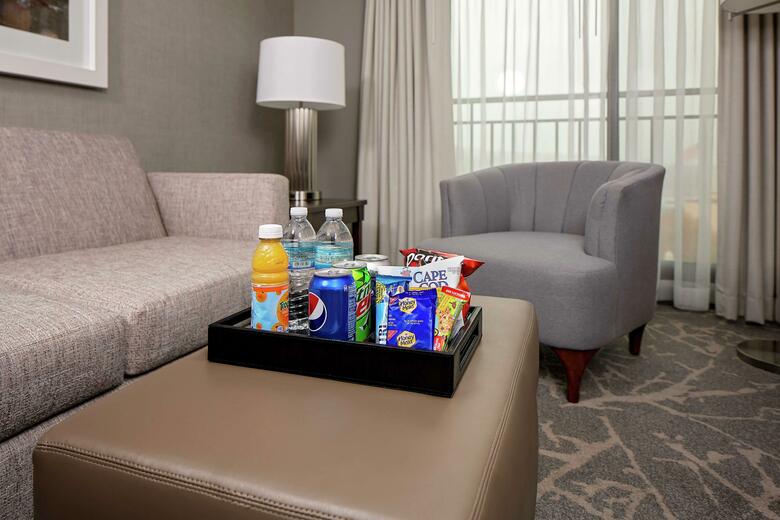 Hotel Embassy Suites Boston - Marlborough