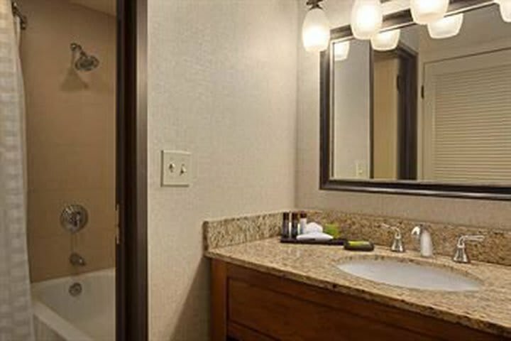 Hotel Embassy Suites Boston - Marlborough