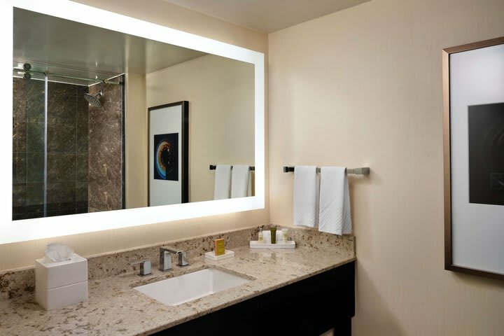 Hotel Hilton Atlanta Airport