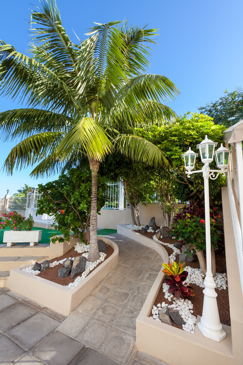 Apartamentos Dragos Del Norte