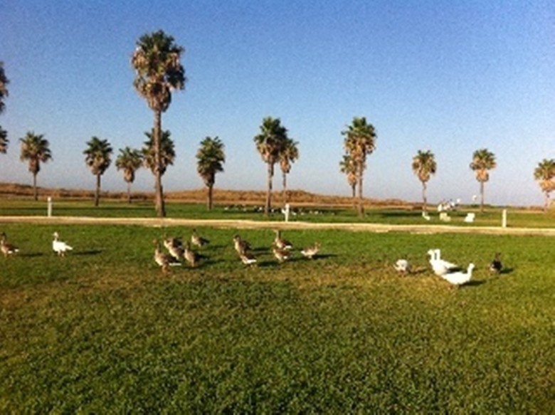 Villa Sun&life Costa Ballena