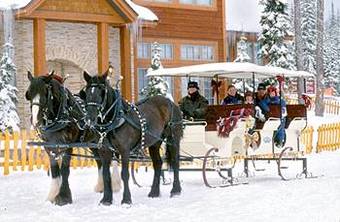 Hotel White Crystal Inn
