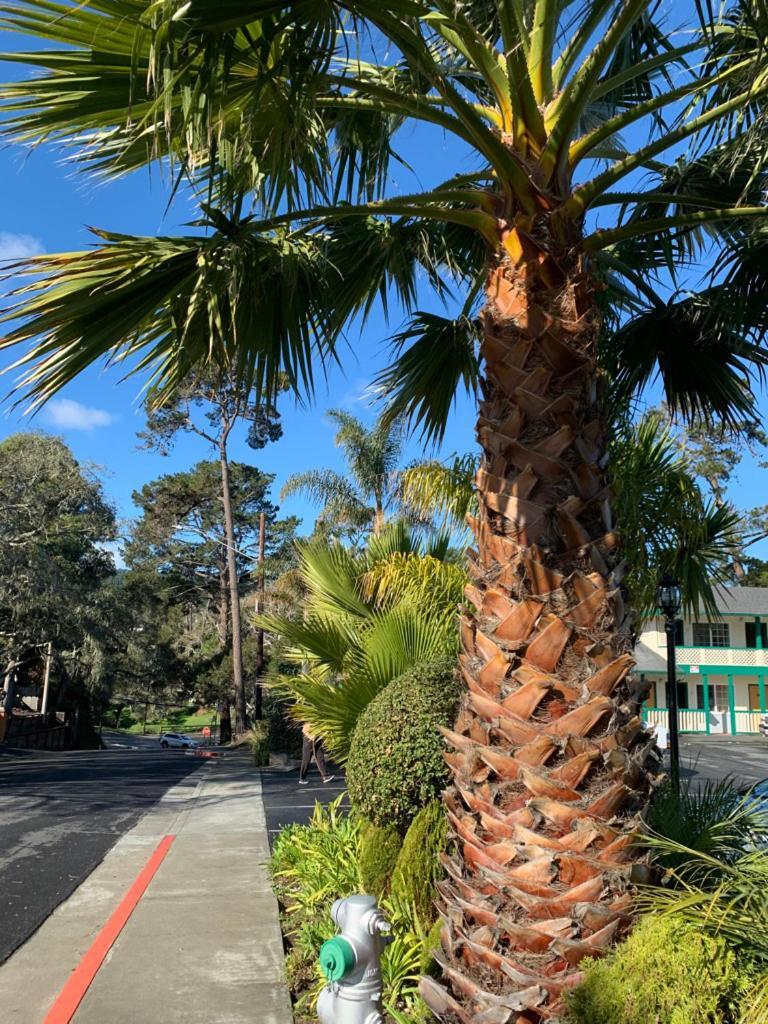 Hotel Monterey Pines Inn