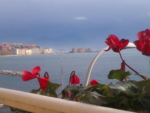 Bed & Breakfast Platamon