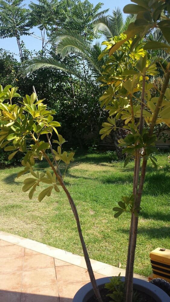 Bed & Breakfast Perla Del Sole
