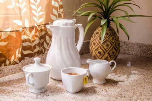 Family-flexication-friendly Villa, Few Steps From Eagle Beach
