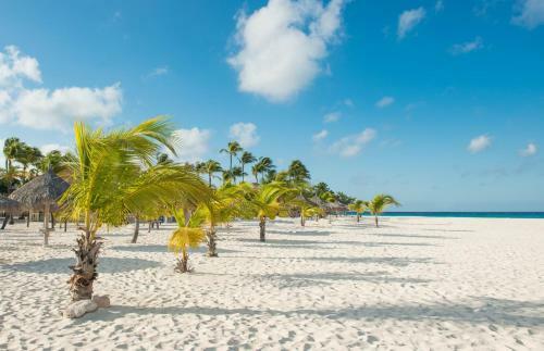 Hotel Manchebo Beach Resort And Spa