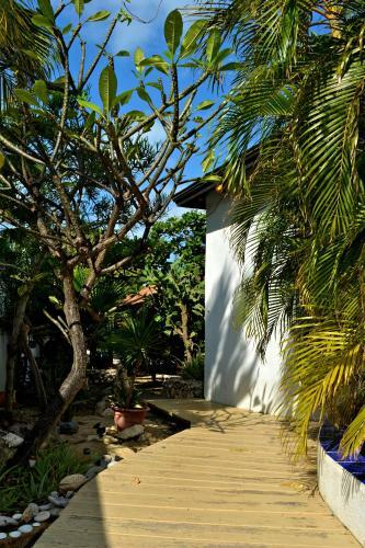 Parrot Villa
