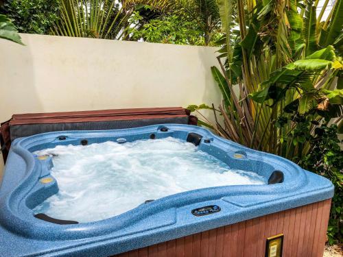 Swiss Paradise Aruba Villas And Suites