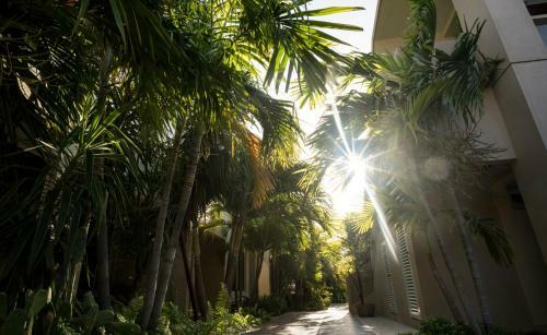 Costa Esmeralda Village