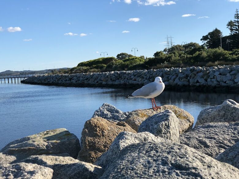 Bed & Breakfast Albany Foreshore Guest House