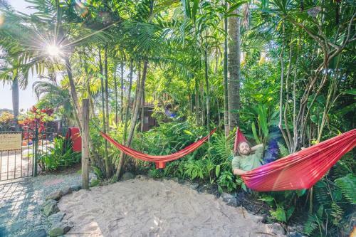 Albergue Tropic Days Backpackers