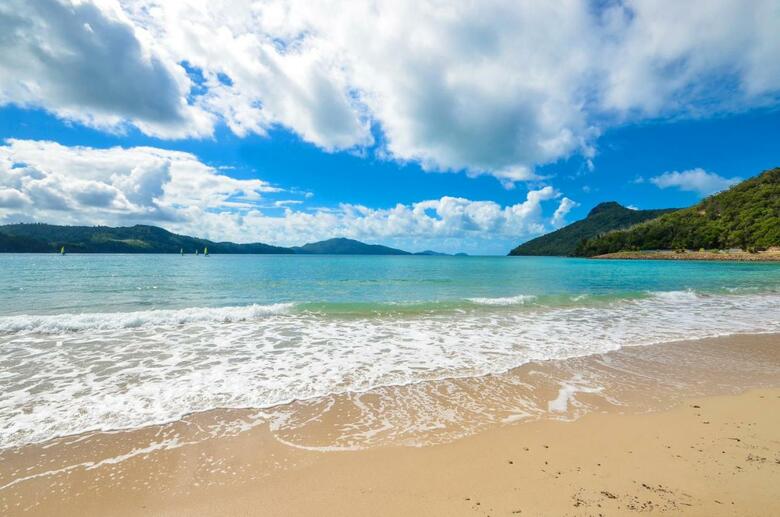Fully Renovated Frangipani Beach Front Apartments