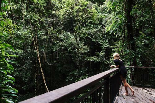 Hotel Daintree Eco Lodge & Spa